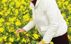 日本一本道高清码v免费视频高